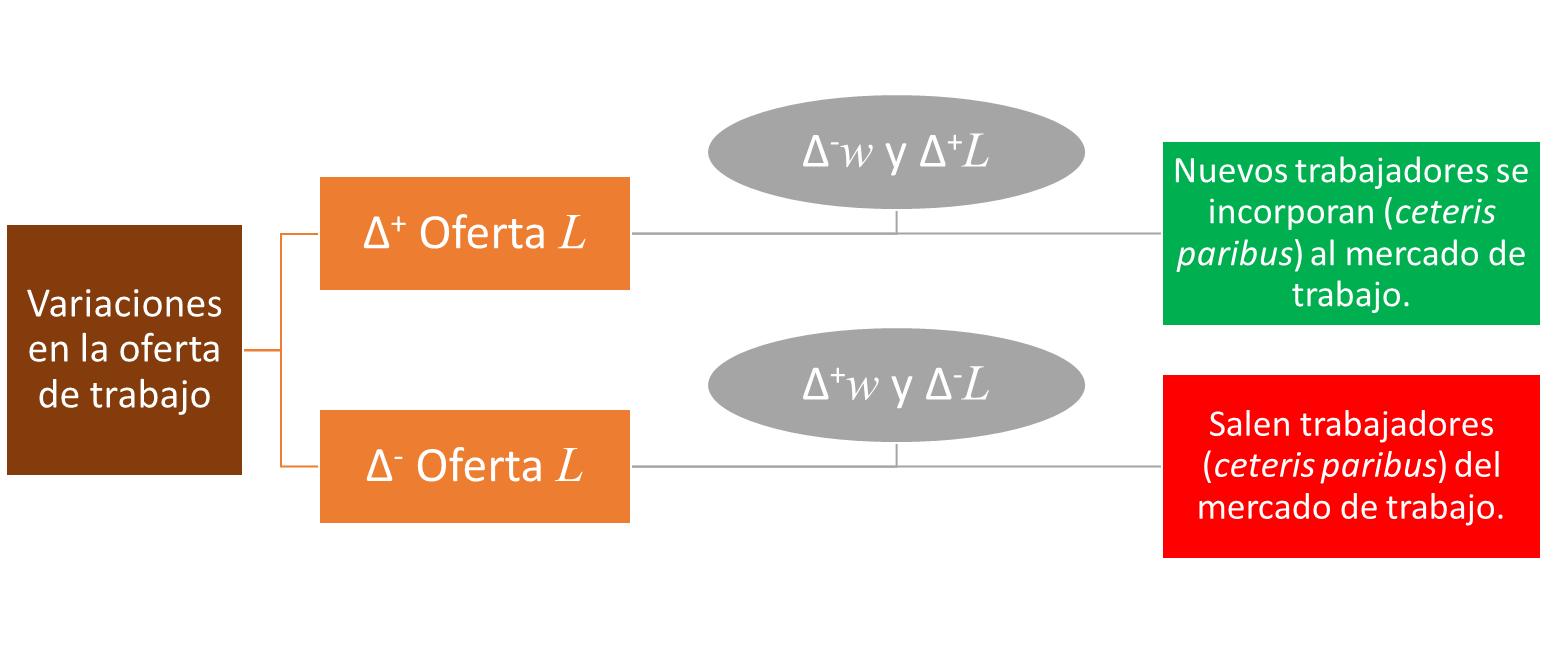 Cambios en la oferta de trabajo